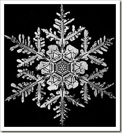 snowflake1