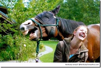 laughing horse