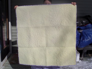 SAMSUNG CAMERA PICTURES